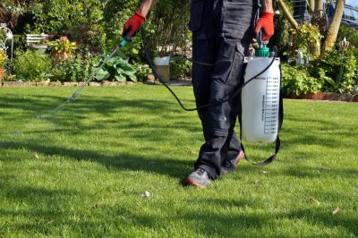 Lawn Weed Control - Lawn Care And Landscaping Bergen County, New Jersey