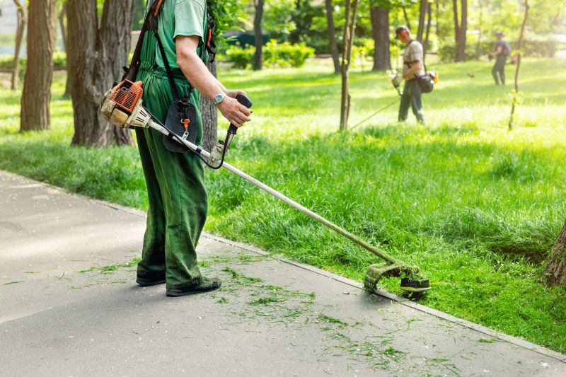 Lawn Care And Landscaping