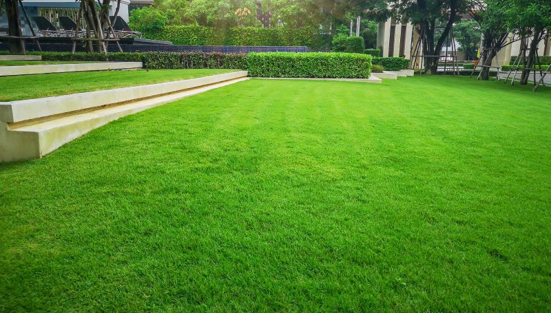 Lawn Care And Landscaping