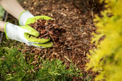 Mulching - Lawn Care And Landscaping Bergen County, New Jersey